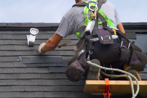 Best Roof Gutter Cleaning  in Buchanan, GA