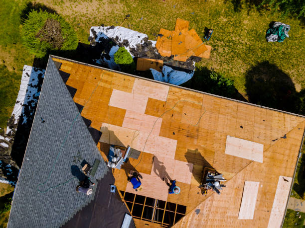 Best Commercial Roofing Services  in Buchanan, GA