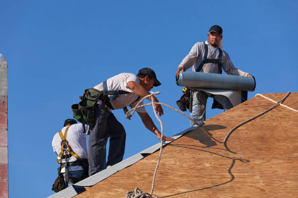 Best Local Roofing Companies  in Buchanan, GA