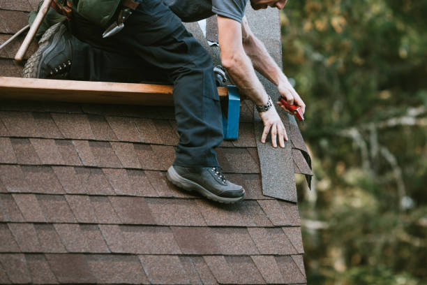 Professional Roofing Contractor in Buchanan, GA
