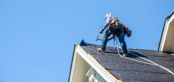 Best Metal Roofing Contractor  in Buchanan, GA
